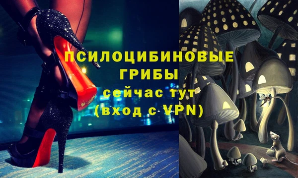 ALPHA-PVP Богородицк