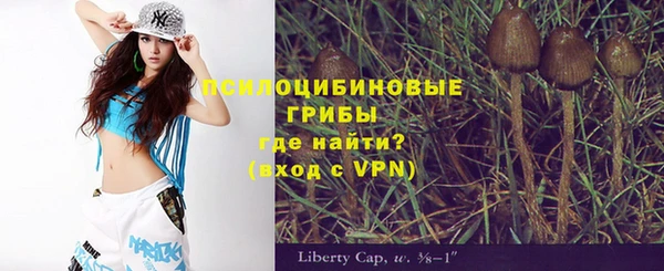 сатива Бронницы