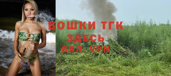 mix Богородск