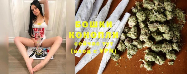 mix Богородск
